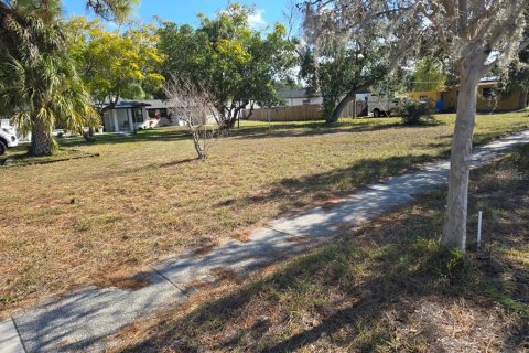Terreno en Dunedin, Florida № 2118521