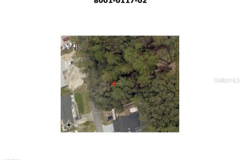 Terreno en venta en Ocala, Florida № 1534549 - foto 7