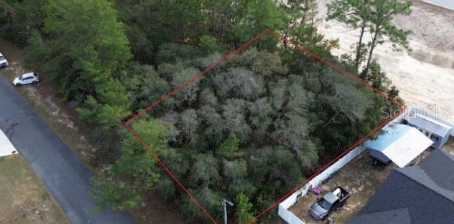 Terreno en Ocala, Florida № 1534549