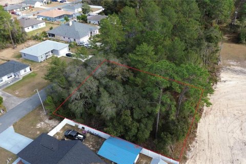 Terreno en venta en Ocala, Florida № 1534549 - foto 5