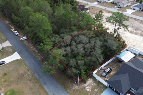 Terreno en venta en Ocala, Florida № 1534549 - foto 3