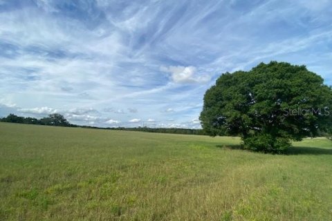 Land in Brooksville, Florida № 1820977 - photo 4