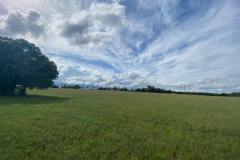 Land in Brooksville, Florida № 1820977 - photo 2