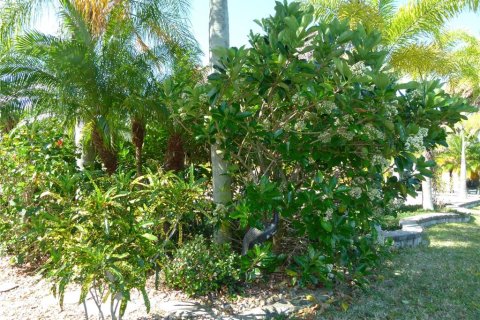 Land in Okeechobee, Florida № 1720744 - photo 14