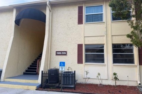Condo à Tampa, Floride, 3 chambres  № 2136682