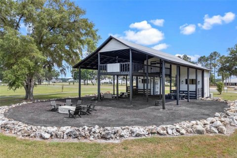 Land in Gainesville, Florida № 1680881 - photo 10