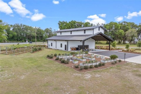 Land in Gainesville, Florida № 1680881 - photo 9