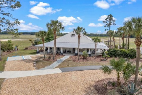 Land in Gainesville, Florida № 1680881 - photo 7
