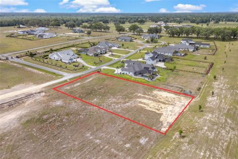 Land in Gainesville, Florida № 1680881 - photo 1