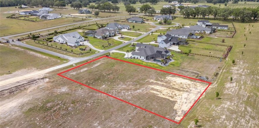 Land in Gainesville, Florida № 1680881