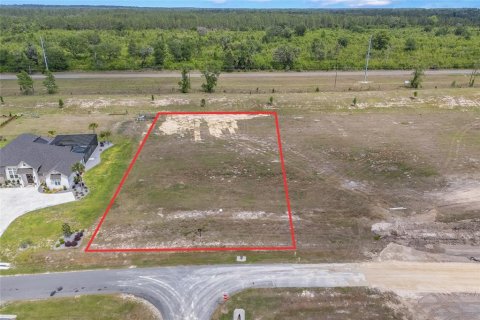 Land in Gainesville, Florida № 1680881 - photo 5