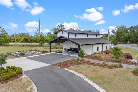 Land in Gainesville, Florida № 1680881 - photo 8