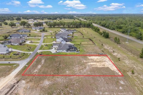 Land in Gainesville, Florida № 1680881 - photo 6
