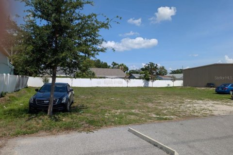 Land in Tampa, Florida № 2117422