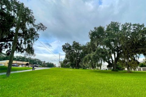 Terreno en venta en Leesburg, Florida № 1723629 - foto 1
