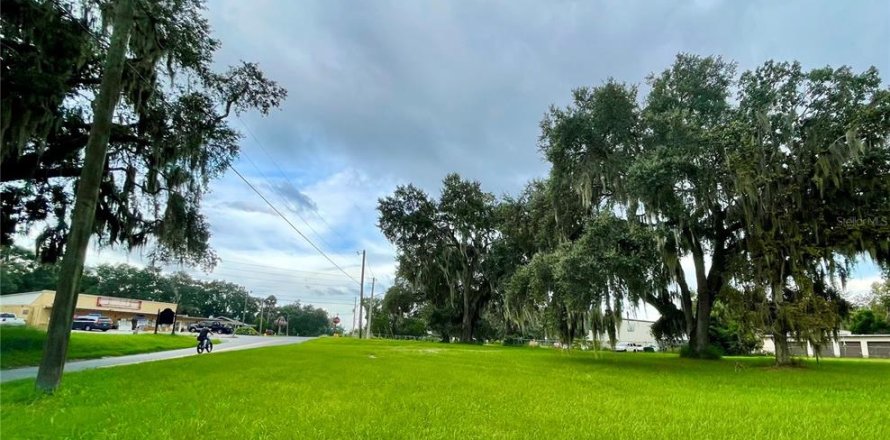 Terreno en Leesburg, Florida № 1723629