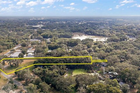 Terreno en venta en Leesburg, Florida № 1723629 - foto 9