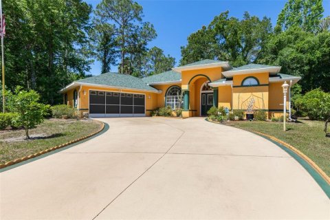 Villa ou maison à Palm Coast, Floride 3 chambres, 193.61 m2 № 2100512