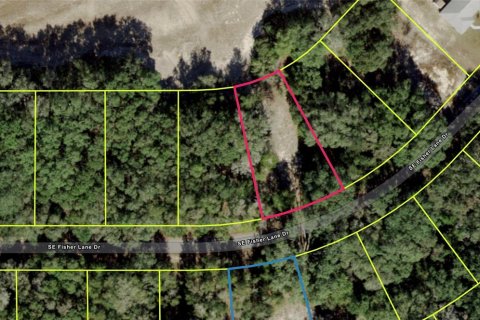 Land in Ocklawaha, Florida № 2214913