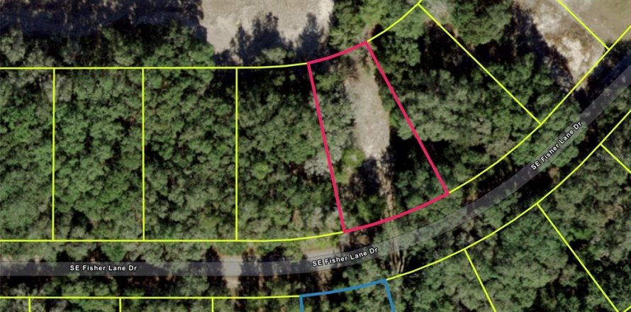 Land in Ocklawaha, Florida № 2214913