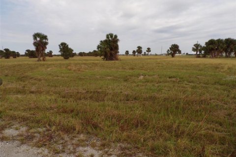 Terrain à vendre à Placida, Floride № 2224089 - photo 2