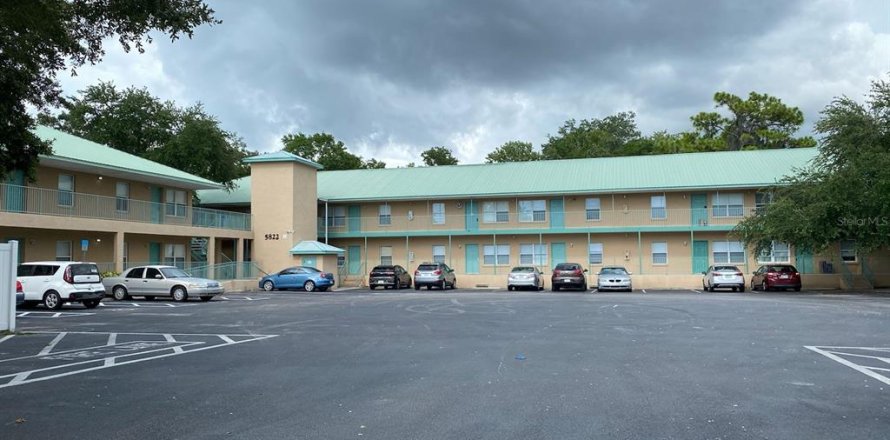 Condo in New Port Richey, Florida, 2 bedrooms  № 2108693