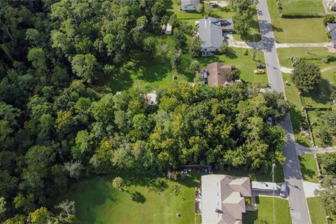 Land in Orlando, Florida № 2384448 - photo 6