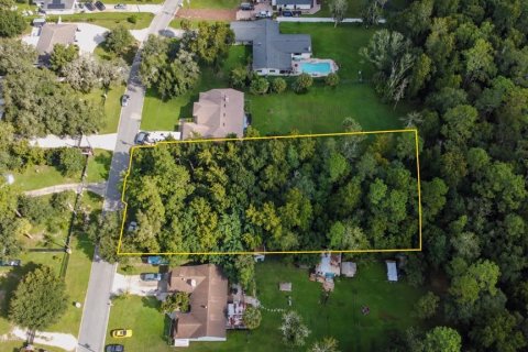 Land in Orlando, Florida № 2384448 - photo 3