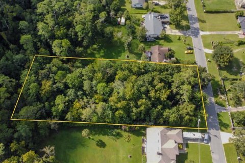 Land in Orlando, Florida № 2384448 - photo 4