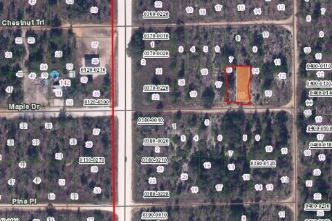 Land in Interlachen, Florida № 2223863 - photo 2