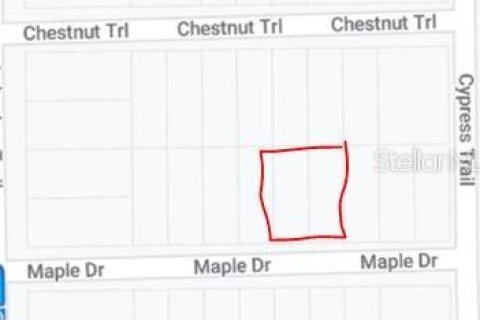 Land in Interlachen, Florida № 2223863 - photo 3