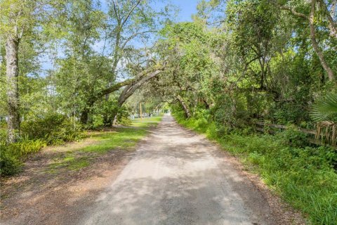 House in Orange City, Florida 3 bedrooms, 186.92 sq.m. № 1894798 - photo 2