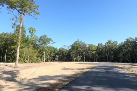 Land in Brooksville, Florida № 1044249 - photo 25