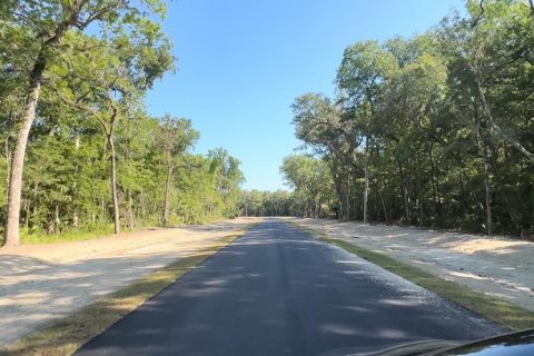 Land in Brooksville, Florida № 1044249 - photo 8