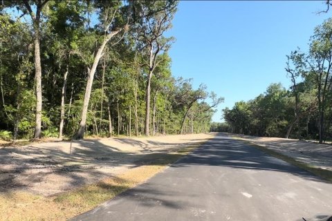 Land in Brooksville, Florida № 1044249 - photo 3