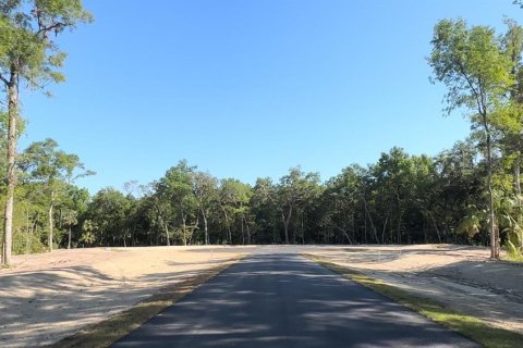 Land in Brooksville, Florida № 1044249 - photo 7