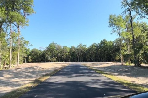Land in Brooksville, Florida № 1044249 - photo 9