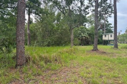 Terreno en venta en Holiday, Florida № 1776827 - foto 14