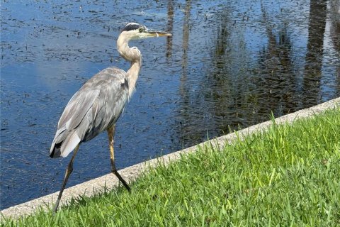 Casa en venta en Pinellas Park, Florida, 2 dormitorios, 153.2 m2 № 1903875 - foto 10
