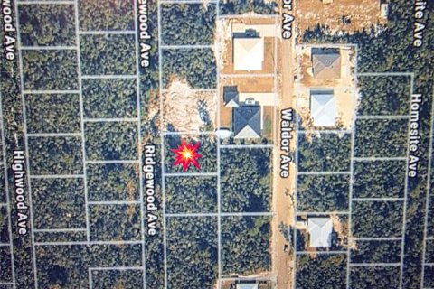 Land in Orange City, Florida № 2212163 - photo 2