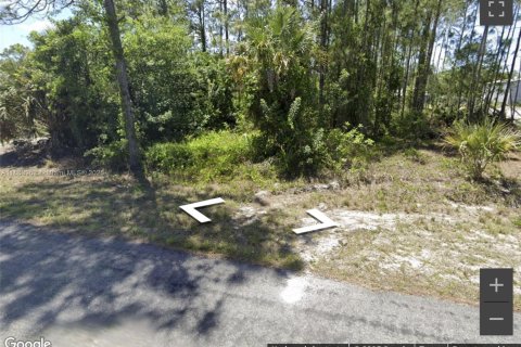 Земельный участок в Лихай-Эйкерс, Флорида № 1978876