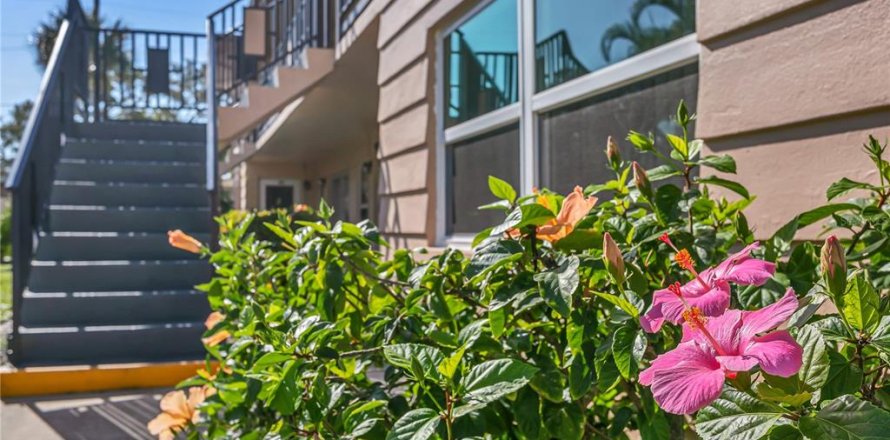 Condo in Saint Petersburg, Florida, 2 bedrooms  № 2229500