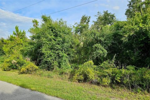 Land in Port Charlotte, Florida № 2161680 - photo 4