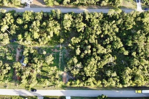Land in Port Charlotte, Florida № 2161680 - photo 3
