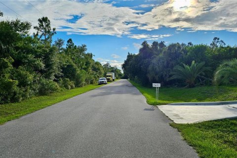 Land in Port Charlotte, Florida № 2161680 - photo 6