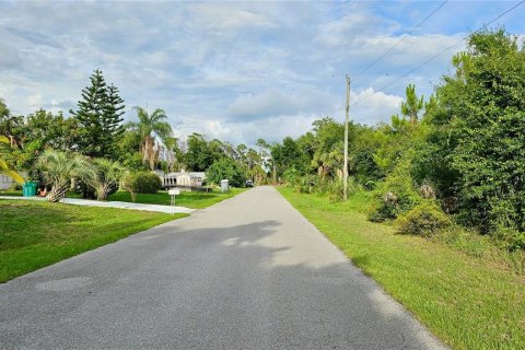 Land in Port Charlotte, Florida № 2161680 - photo 5