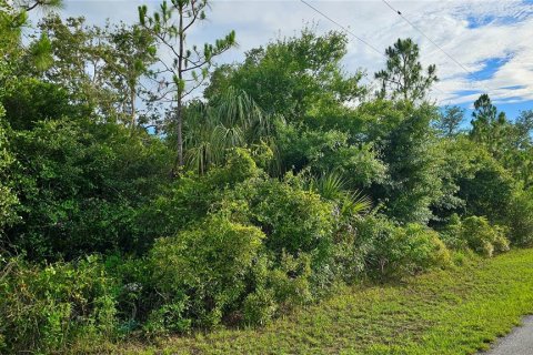 Land in Port Charlotte, Florida № 2161680 - photo 8