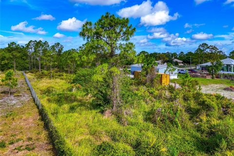 Terrain à vendre à Punta Gorda, Floride № 2213967 - photo 4