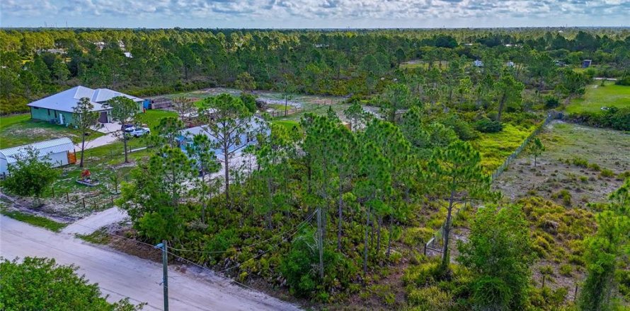 Terrain à Punta Gorda, Floride № 2213967