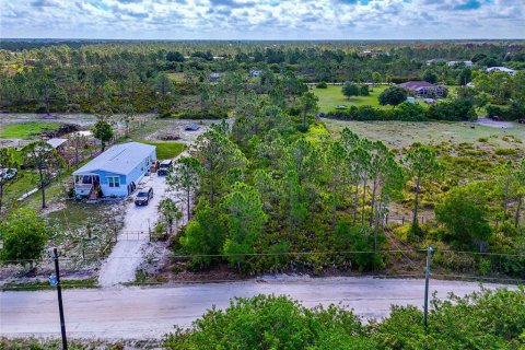 Terrain à vendre à Punta Gorda, Floride № 2213967 - photo 5